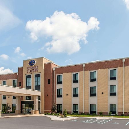 Comfort Suites Rensselaer Near Fair Oaks Экстерьер фото