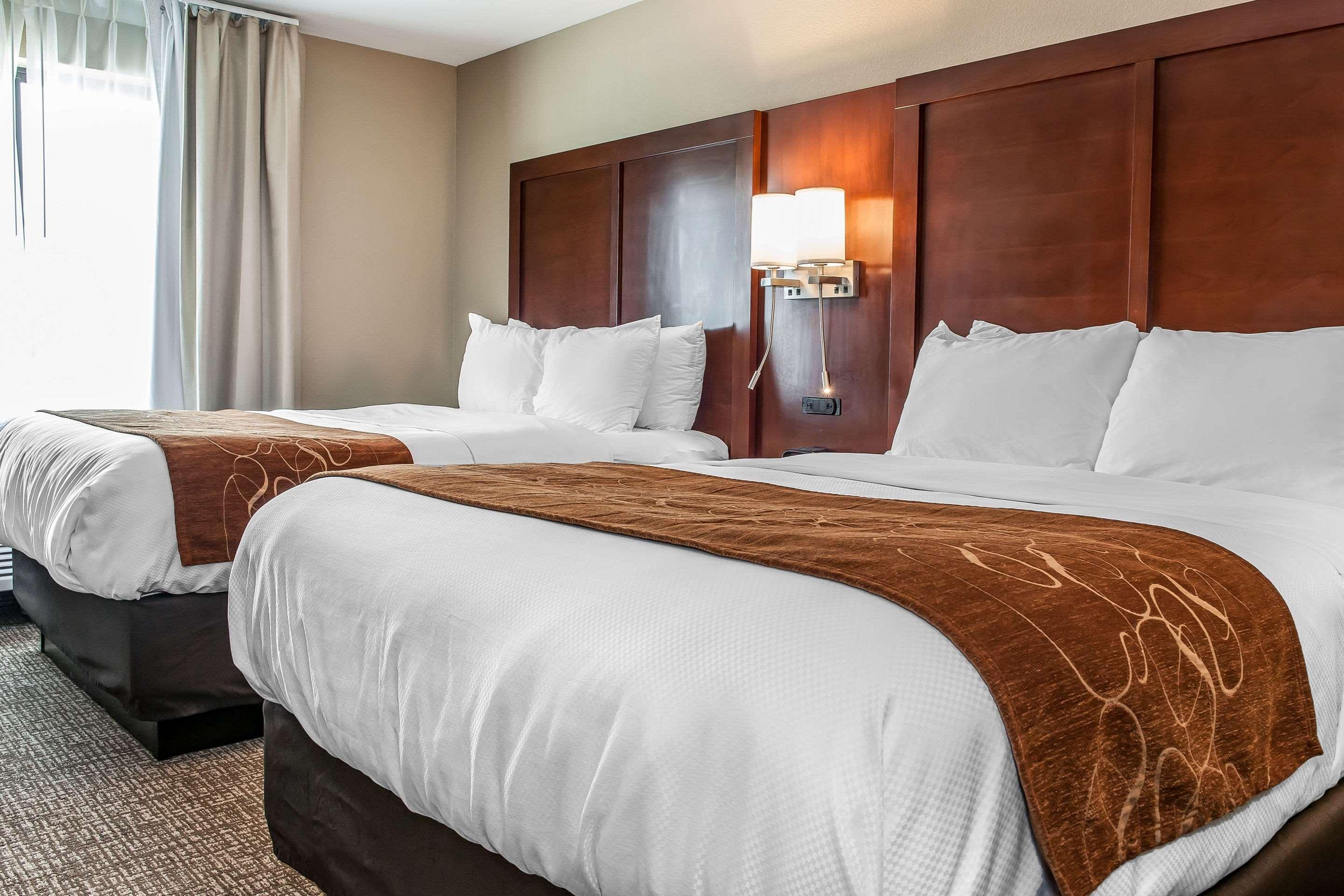 Comfort Suites Rensselaer Near Fair Oaks Экстерьер фото