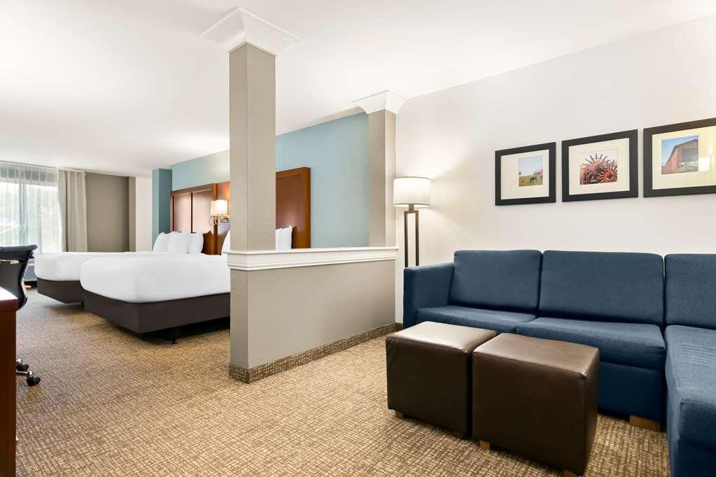 Comfort Suites Rensselaer Near Fair Oaks Номер фото